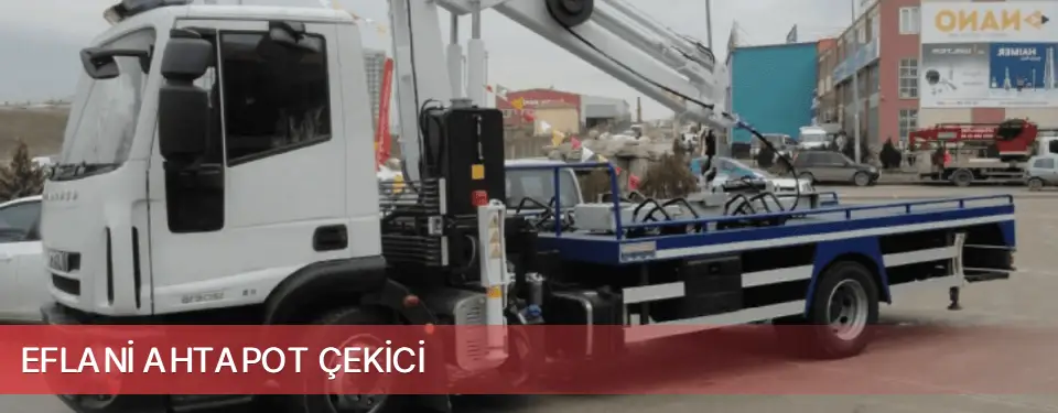 Eflani İlçemi Ahtapot Çekici