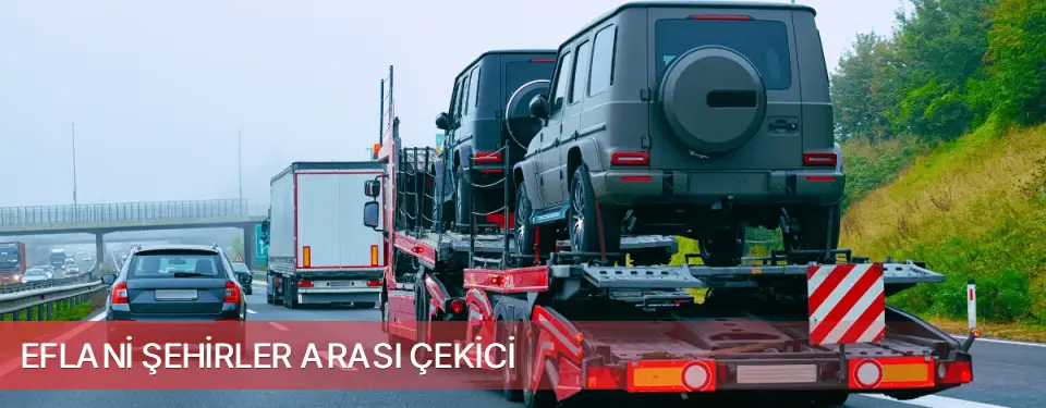 Eflani İlçemi Şehirler Arası Çekici